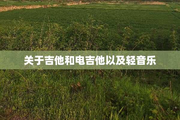 关于吉他和电吉他以及轻音乐