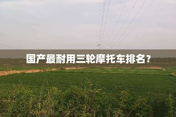 国产最耐用三轮摩托车排名？