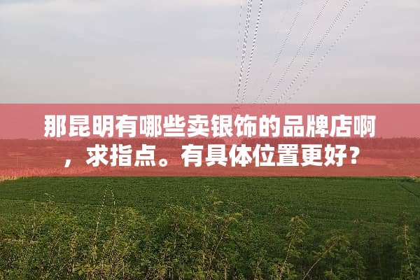 那昆明有哪些卖银饰的品牌店啊，求指点。有具**置更好？