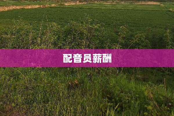 配音员薪酬