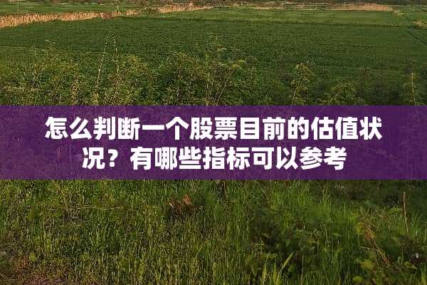 怎么判断一个股票目前的估值状况？有哪些指标可以参考