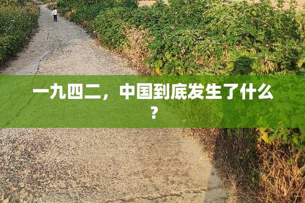 一九四二，中国到底发生了什么？