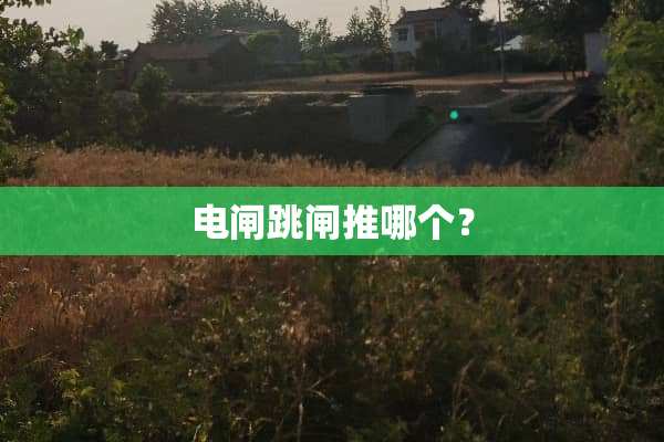 电闸跳闸推哪个？