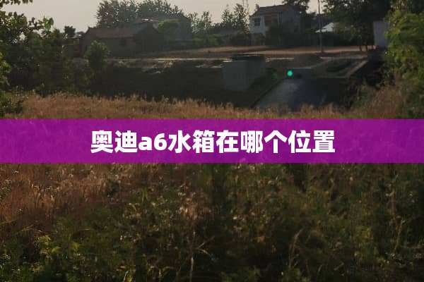 奥迪a6水箱在哪个位置
