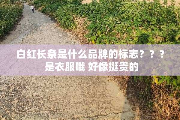 白红长条是什么品牌的标志？？？ 是衣服哦 好像挺贵的