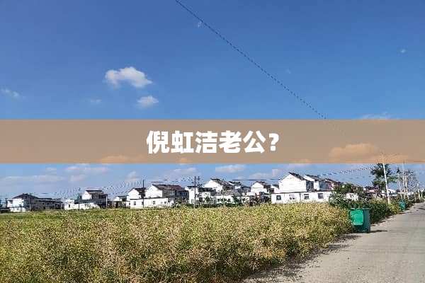 倪虹洁老公？