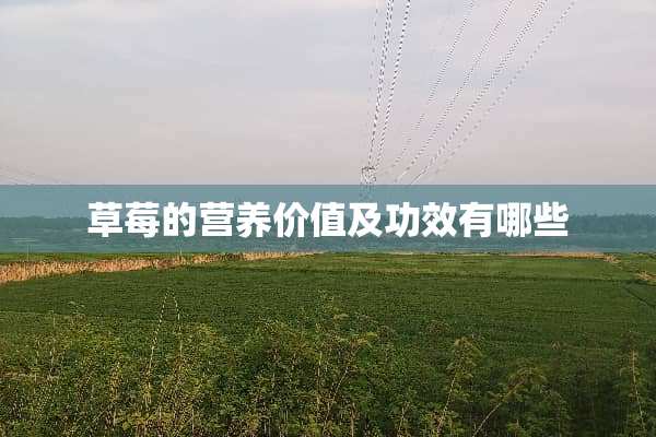 草莓的营养价值及功效有哪些