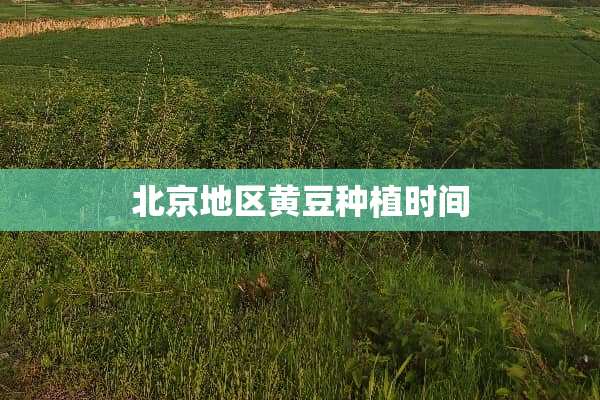 北京地区黄豆种植时间