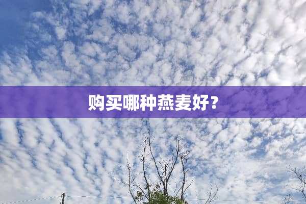 购买哪种燕麦好？