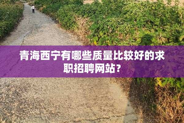 青海西宁有哪些质量比较好的求职招聘网站？