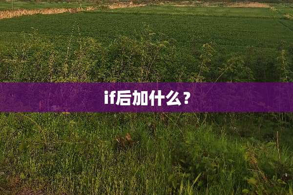 if后加什么？