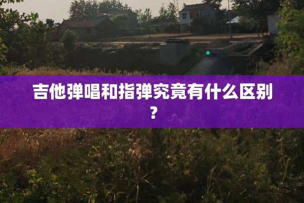 吉他弹唱和指弹究竟有什么区别？