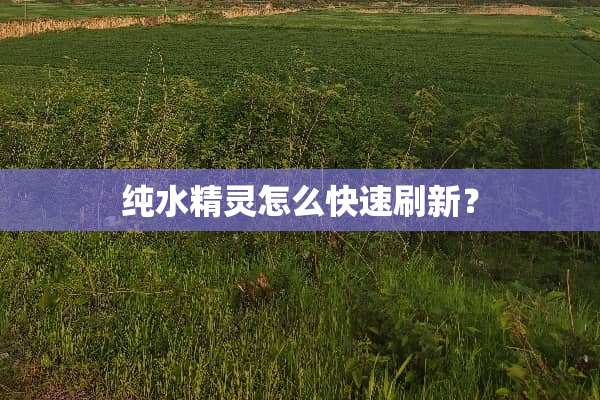 纯水精灵怎么快速刷新？