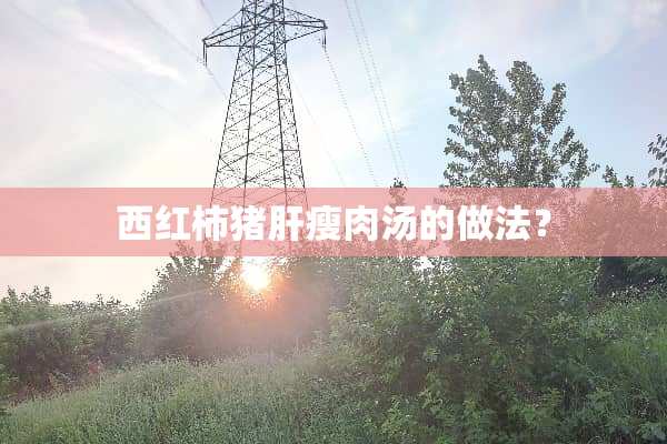 西红柿猪肝瘦肉汤的做法？