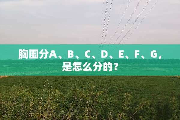 胸围分A、B、C、D、E、F、G，是怎么分的？