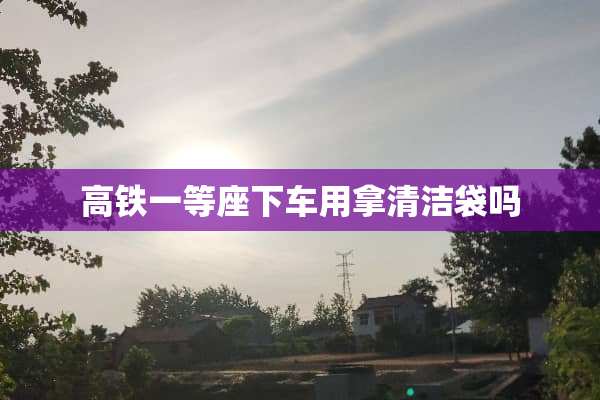 高铁一等座下车用拿清洁袋吗