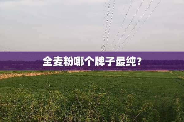 全麦粉哪个牌子最纯？