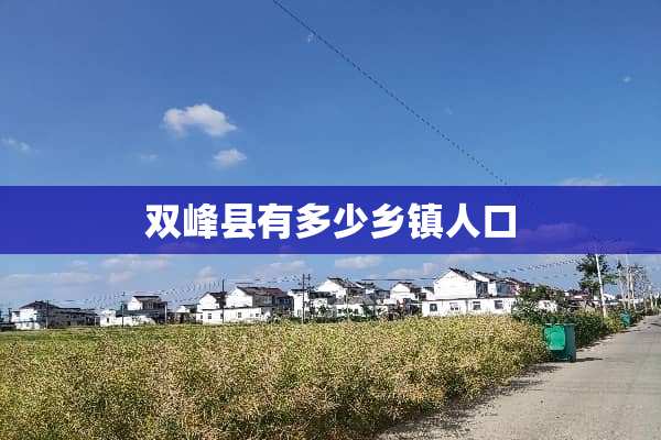 双峰县有多少乡镇人口