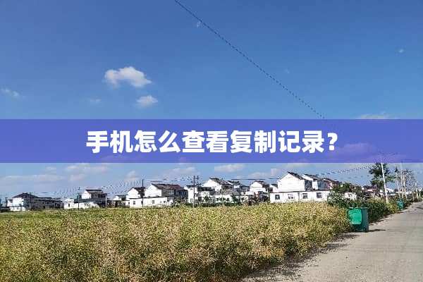 手机怎么查看复制记录？