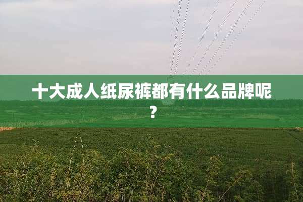 十大**纸尿裤都有什么品牌呢？