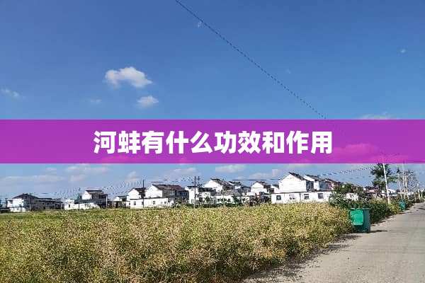 河蚌有什么功效和作用