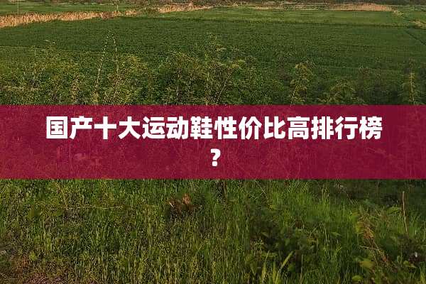 国产十大运动鞋性价比高排行榜？