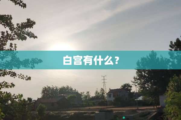 白宫有什么？