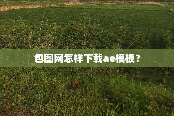 包图网怎样下载ae模板？