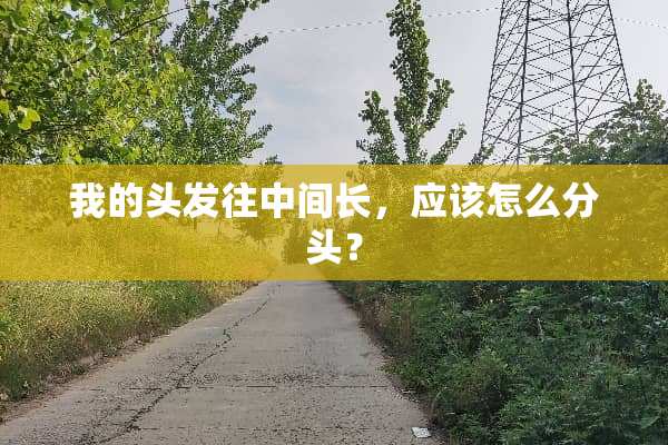 我的头发往中间长，应该怎么分头？