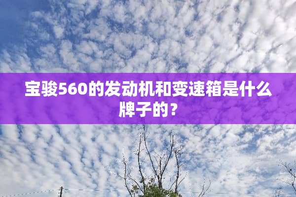 宝骏560的发动机和变速箱是什么牌子的？