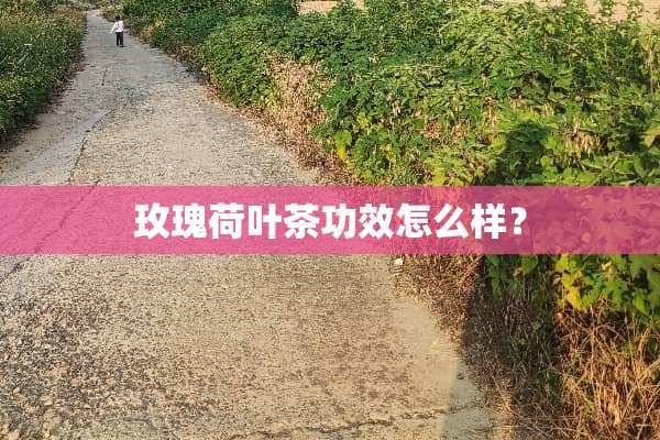 玫瑰荷叶茶功效怎么样？