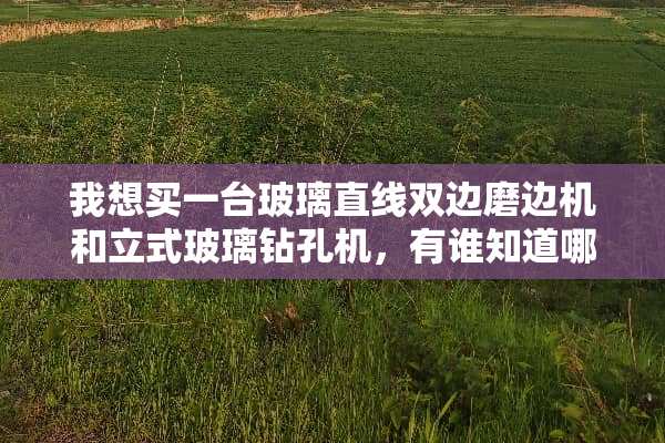 我想买一台玻璃直线双边磨边机和立式玻璃钻孔机，有谁知道哪里有好点的吗？