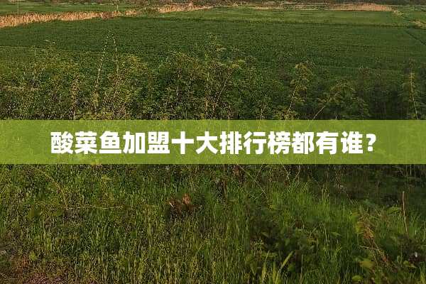 酸菜鱼加盟十大排行榜都有谁？