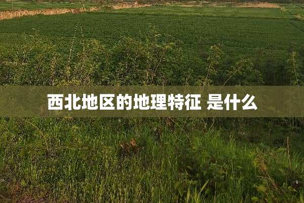 西北地区的地理特征 是什么