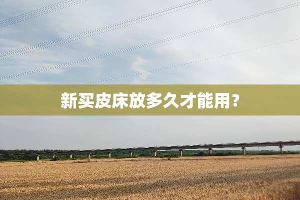 新买皮床放多久才能用？