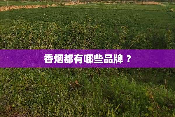 香烟都有哪些品牌 ？