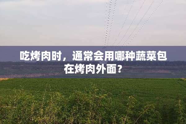 吃烤肉时，通常会用哪种蔬菜包在烤肉外面？