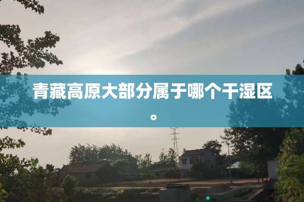 青藏高原大部分属于哪个干湿区。