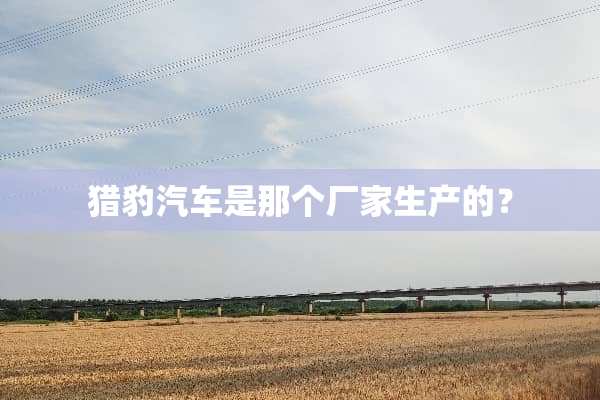 **汽车是那个厂家生产的？