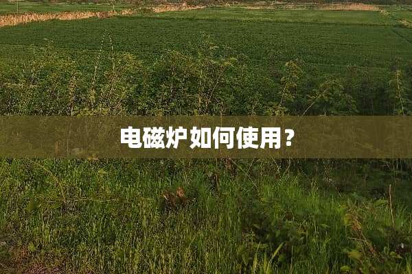 电磁炉如何使用？