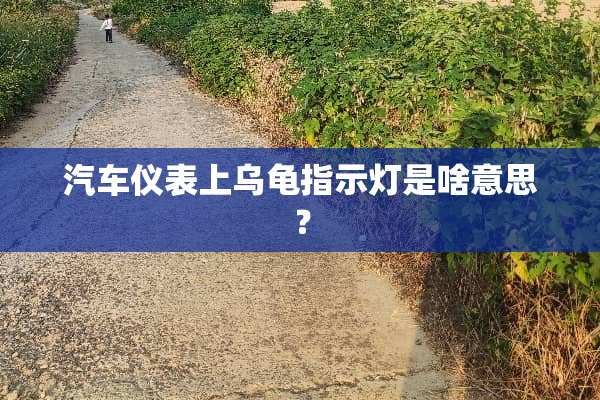 汽车仪表上乌龟指示灯是啥意思？
