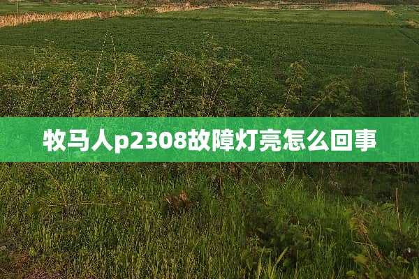 牧马人p2308故障灯亮怎么回事