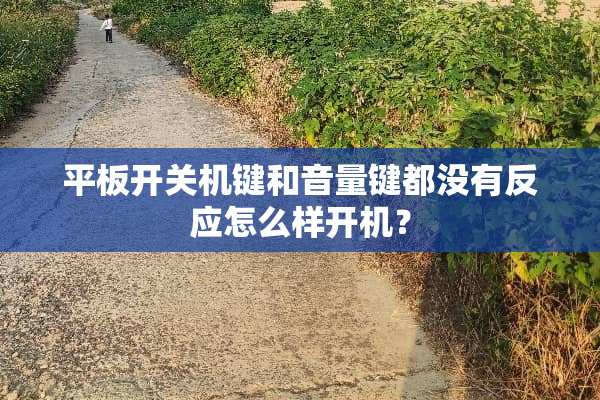 平板开关机键和音量键都没有反应怎么样开机？