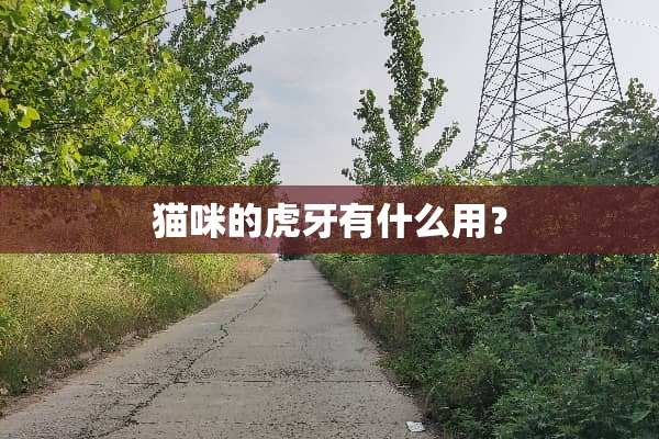 猫咪的**有什么用？