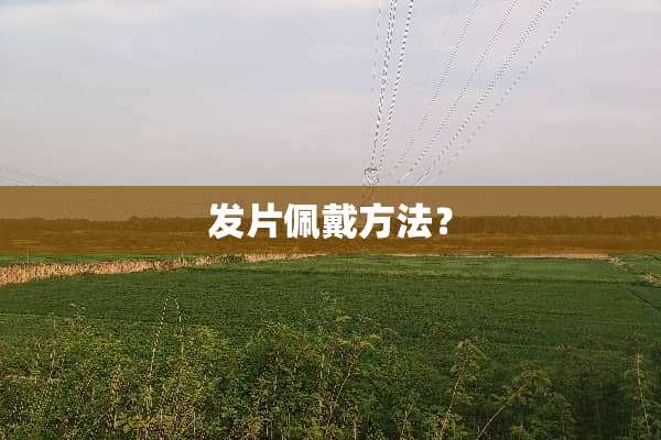 发片佩戴方法？