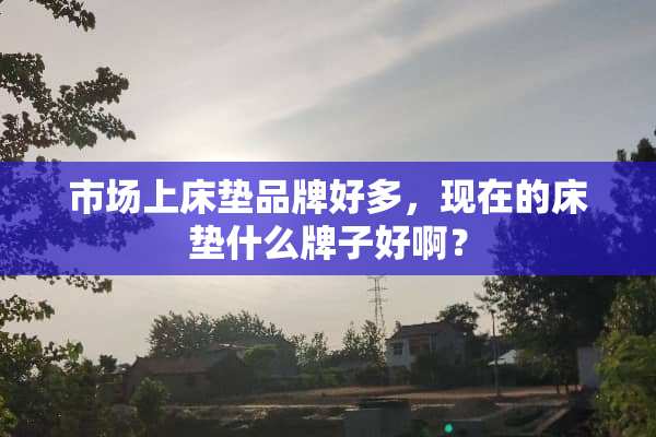 市场上床垫品牌好多，现在的床垫什么牌子好啊？