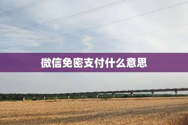 微信免密支付什么意思