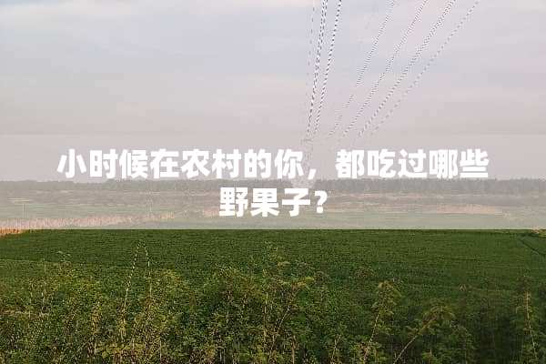 小时候在农村的你，都吃过哪些野果子？