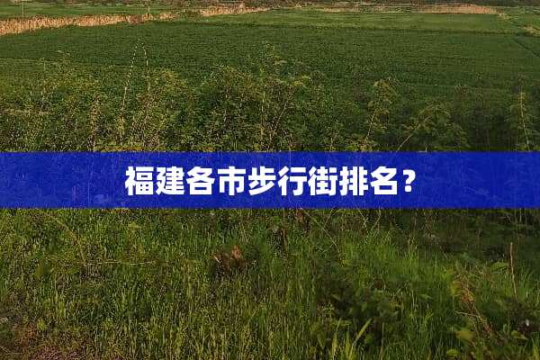 福建各市步行街排名？