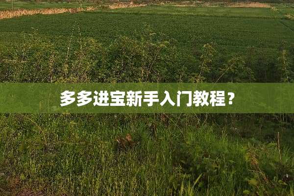 多多进宝新手入门教程？